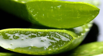 Propiedades del jabón de aloe vera para la piel