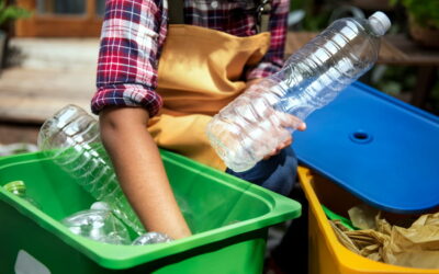7 beneficios del reciclaje para el medio ambiente