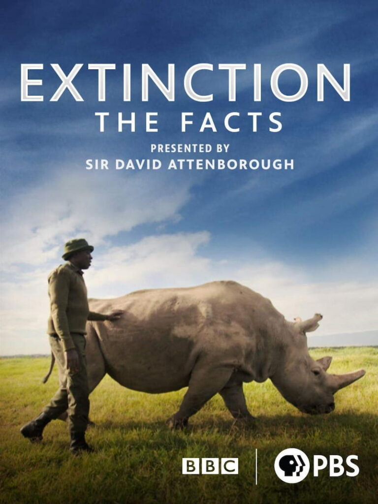Extinción: Los hechos