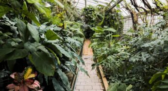 6 jardines botánicos más bonitos de España
