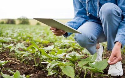 Agricultura integrada: en qué consiste y por qué es un sistema sostenible