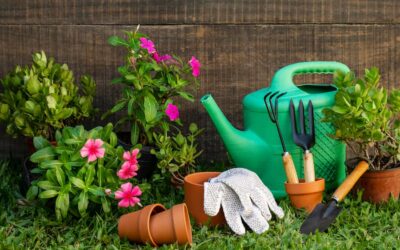 5 cuidados propios de la jardinería ecológica
