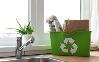 Ideas y recomendaciones para reciclar en casa correctamente