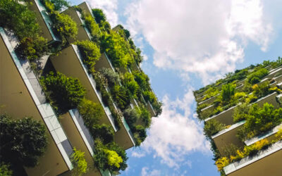 Diseño Bioclimático: Integrando la Naturaleza en la Arquitectura para un Futuro Sostenible